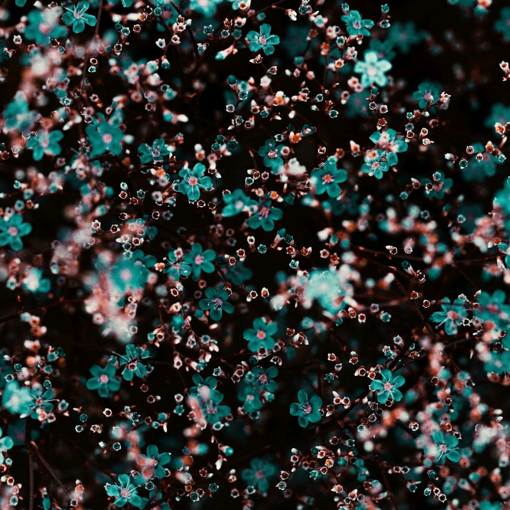 Meet your Posher, Andy